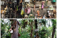 Pulau Boneka Misterius di Meksiko, Destinasi Seram yang Bikin Merinding Sejak Pandangan Pertama!