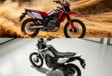 Model Teranyar Trail Honda XR300L Tornado 2027 Rilis: Bawa Banyak Teknologi Baru & Performa Ekstrem!