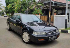 Banyak yang Nggak Tau, Ini Sejarah Mobil Honda Accord Maestro! Idola Dimasanya