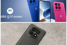 Honor X8d Resmi Meluncur, Usung Desain Stylish, Fitur Kekinian, dan Baterai Awet Seharian