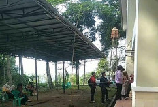 Dispora Pagar Alam Buka Pendaftaran Gerak Jalan hingga Pawai Pembangunan
