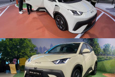 BYD Atto 1, Mobil Listrik Kompak Terfavorit 2025, Desain Sporty, Hemat Biaya dan Teknologi Super Canggih