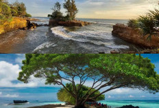 Hidden Gem Bengkulu! 7 Wisata Keren yang Masih Jarang Orang Tahu