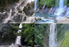 Keindahan Alam Sumatera Selatan, Menjelajahi Air Terjun Terindah di Provinsi Ini!