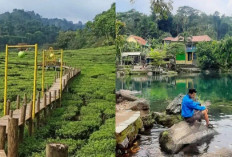 Rekomendasi Tempat Wisata Majalengka yang Instagrammable dan Memukau