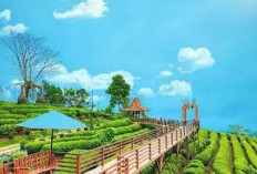 Cocok Untuk Healing! Ini Dia 5 Rekomendasi Wisata di Subang, Bikin Kamu Betah Ga Mau Pulang!