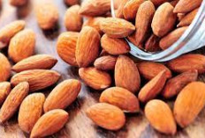 Yuk Intip Manisnya Kesehatan! Inilah 5 Manfaat Kacang Almond Sumber Energi Sehat Untuk Aktivitas Sehari-hari