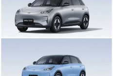 Geely EX2 Meluncur di Indonesia, Hatchback Listrik Paling Terjangkau Dibanderol Rp229 Juta