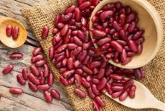 Pernahkah Kalian Coba? Ternyata Ini 5 Resep Kacang Merah Ide Kreatif Untuk Mengolah Makanan yang Lezat