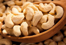 Tak Hanya Lezat, Yuk Cari Tahu 5 Manfaat Menikmati Hidangan Sehat Dengan Kacang Mete