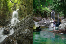 Keindahan Lembah Anai, Lubuk Hitam, dan Sarasah, Wisata Air Terjun di Padang!