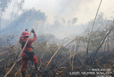 Kabut Asap Karhutla Mulai Ganggu Udara