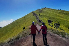 Wajib Diketahui, Ini Misteri yang Tersembunyi di Gunung Merbabu