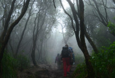 Gunung Kembar: Surga Pendaki dan Pecinta Alam 