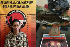 Satres Narkoba Amankan 0.8 Kg Ganja