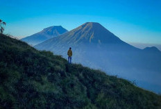 Menyentuh Langit: Keindahan Tersembunyi di Puncak Gunung Prau