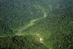 Puncak Leuser: Petualangan Epik Melalui Jalur Kedah