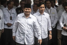 Kunjungan Wapres Perkokoh Pemerintahan Prabowo