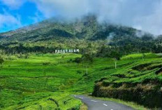 Tingkat Kunjungan Wisatawan Ditaksir 10 ribu Pengunjung