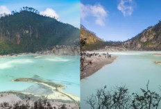 Destinasi Wisata alam Kawah Putih Bandung sungguh menakjubkan!