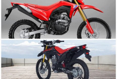 Honda CRF150L 2026 Tampil Lebih Gagah, Bawa Penyegaran Desain dan Performa Off-Road