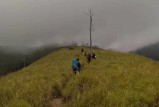 Banyak Yang Gak Tau, Fakta Menarik Gunung Liman Berikut Penjelasannya!