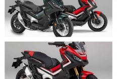 Siap Libas Segala Medan! Rekomendasi Motor Adventure 250 cc Terbaik 2026: Dari Jalur Aspal hingga Tanah