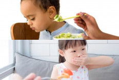 Menghadapi Anak Yang Susah Makan, Inilah 5 Tips Teruji Yang Wajib Orangtua Coba