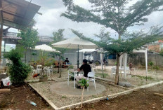 ‘5 Sore Café’, Sajikan Kopi Asli dan Makanan Ringan dengan Harga Bersahabat