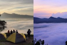 Mau Liburan Menyenangkan? Ini dia Liburan Sejuk dan Menyegarkan di Gunung Putri Lembang