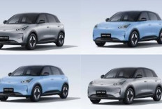 Geely EX2 Terbaru 2026 Resmi Hadir di Indonesia: EV Kompak Stylish, Irit Energi, dan Harga Mulai Rp229 Jutaan!