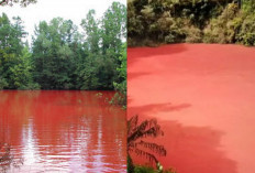 Misteri Danau Merah di Rimba Candi, Surga Tersembunyi Pagar Alam