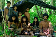 Banyak yang Nggak Tau, Ternyata Ini Sejarah Suku Kubu di Indonesia! Ada Apa?