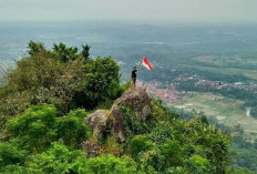 Misteri Gunung Munara, Eksplorasi Alam dan Sejarah di Puncak Bogor