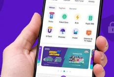 Nomormu Terpilih! Dapat Saldo OVO Gratis Tanpa Syarat, Klaim Sekarang Sebelum Hangus!