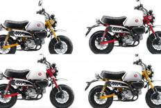 Honda Monkey 2026 Hadir Makin Ikonik? Desain Klasik Dipertahankan, Fitur Modern dan Harga Jadi Sorotan 2026!
