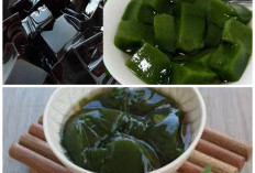 Jangan Salah Pilih! Ini Perbedaan Cincau Hijau dan Cincau Hitam yang Perlu Anda Ketahui