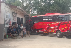 Armada Sinar Dempo Siap Hadapi Lonjakan Penumpang