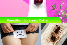 Normalkah Keputihan Berwarna Coklat? 7 Kemungkinan Penyebab Keputihan Berwarna Coklat