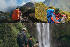 Petualangan Tak Terlupakan, Menggapai Puncak dan Menjelajah Hutan!