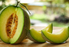 5 Manfaat Buah Melon Dalam Menjaga Kesehatan Kulit dan Rambut