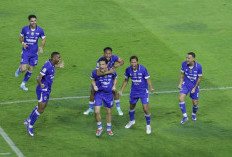 Deretan Pemain Persib Ini Berpeluang Dipanggil ke Timnas Indonesia