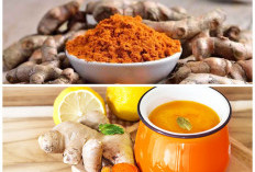 5 Manfaat Kunyit untuk Kesehatan: Anti-Inflamasi Alami, Jaga Imunitas, hingga Rahasia Otak Cerdas!