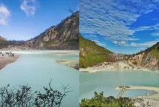 Menakjubkan Destinasi Wisata Alam Kawah Putih Bandung Untuk Liburan 2025!