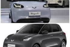 Wuling Bingo SUV Resmi Meluncur di Indonesia: Jarak Tempuh 401 Km, Harga Cuma Rp 300 Jutaan Saja!