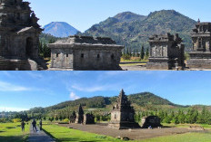 Menyaksikan Matahari Terbit dan Fenomena Alam di Dieng Plateau!