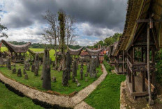 Mengulik Sejarah Budaya Warisan Megalitikum Bori Kalimbuang Toraja