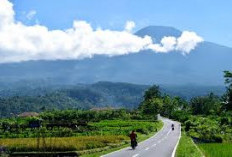 Banyak yang Nggak Tau, Ternyata Ini Keindahan Alam Gunung Slamet Puncak Tertinggi Kedua di Pulau Jawa! Ada Apa