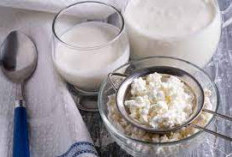 Yuk Cari Tahu, Menggali 5 Manfaat Susu Kefir Minuman Fermentasi Untuk Kesehatan Optimal