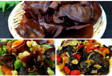 Penyebab Jamur Kuping Beracun dan Cara Mengcegahnya